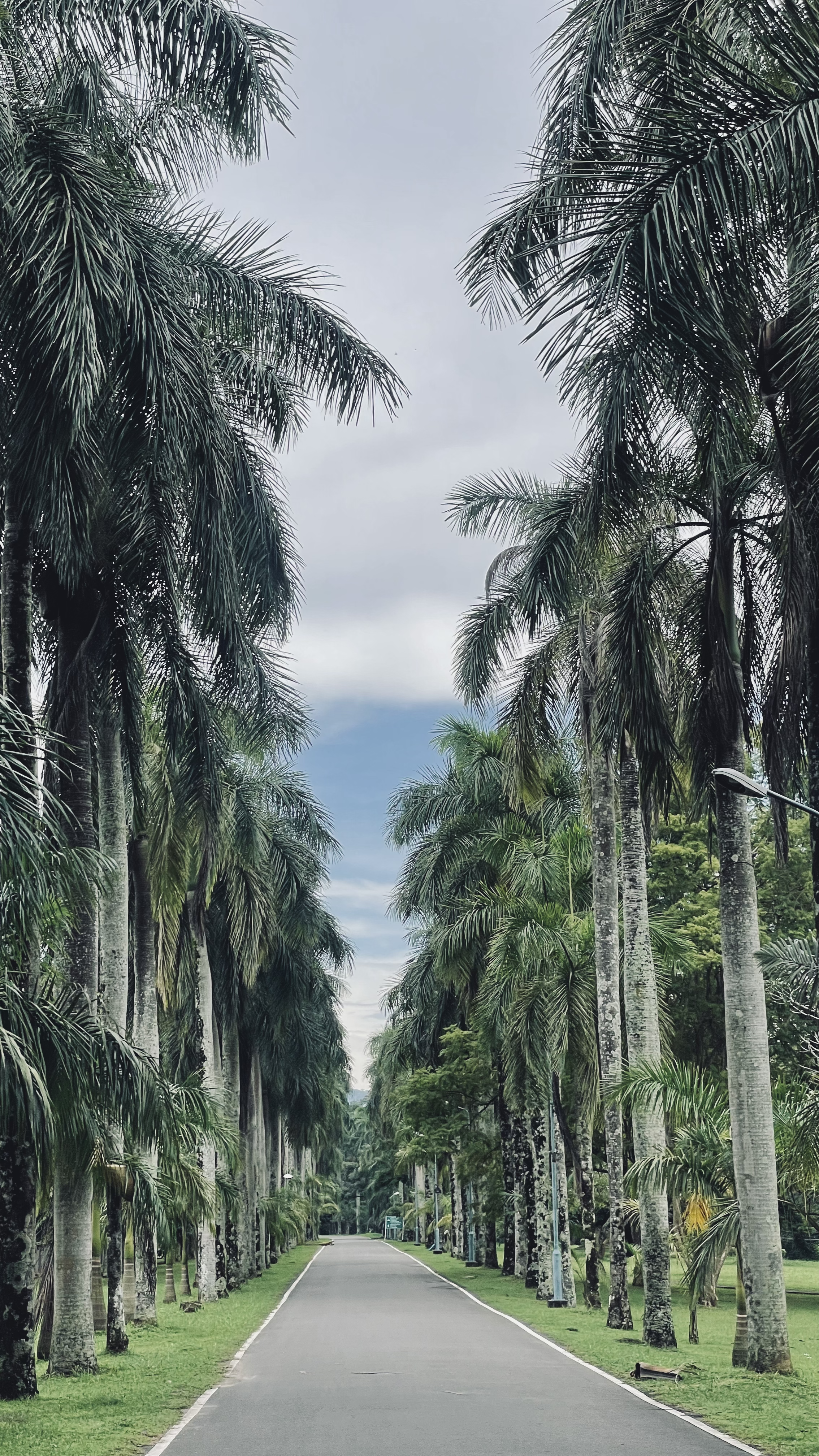Peradeniya - 2